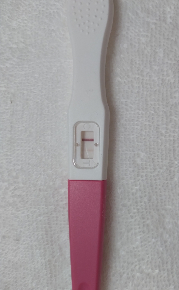 Clarisse One Step Pregnancy Test, 13 Days Post Ovulation