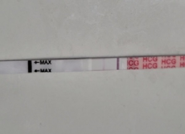 Generic Pregnancy Test, 15 Days Post Ovulation, FMU, Cycle Day 27