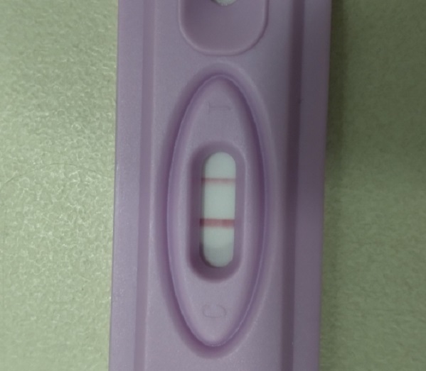 New Choice (Dollar Tree) Pregnancy Test, 16 Days Post Ovulation, FMU