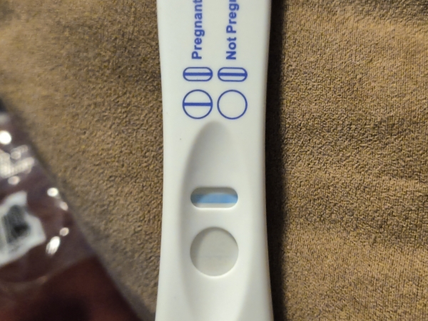 Equate Pregnancy Test, 19 Days Post Ovulation, Cycle Day 39