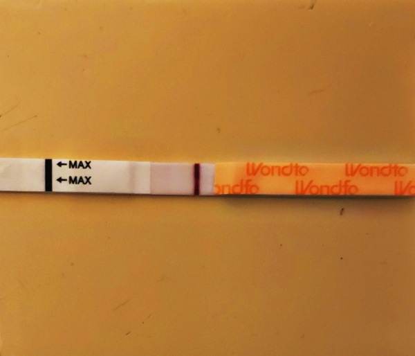 Wondfo Test Strips Pregnancy Test, 13 Days Post Ovulation