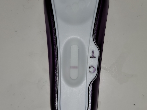 Home Pregnancy Test