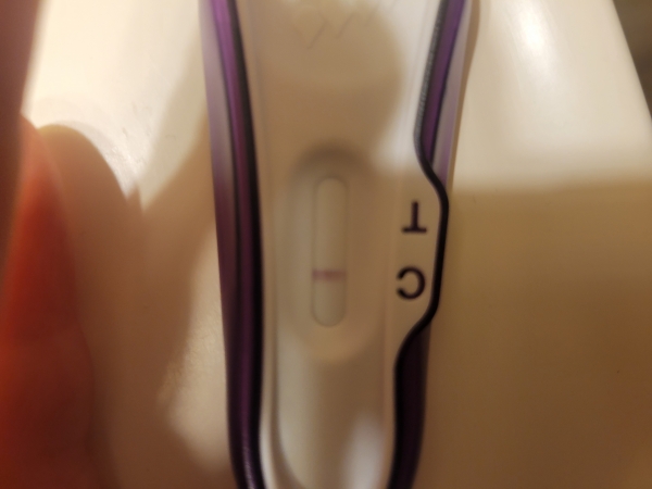 Home Pregnancy Test