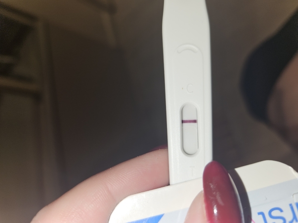 Home Pregnancy Test