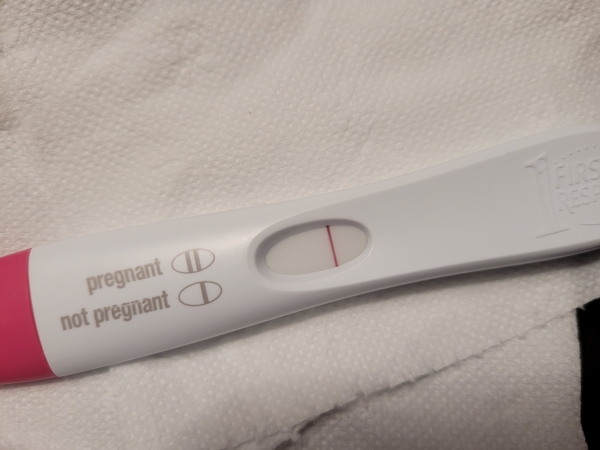 Home Pregnancy Test