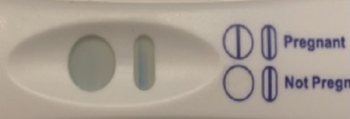 Home Pregnancy Test, 11 Days Post Ovulation, FMU