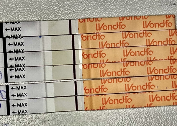 Wondfo Test Strips Pregnancy Test, 9 Days Post Ovulation, FMU