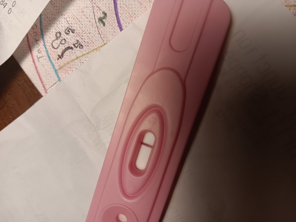 New Choice (Dollar Tree) Pregnancy Test, 9 Days Post Ovulation, Cycle Day 24