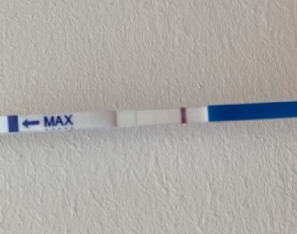 Generic Pregnancy Test, 12 Days Post Ovulation, FMU