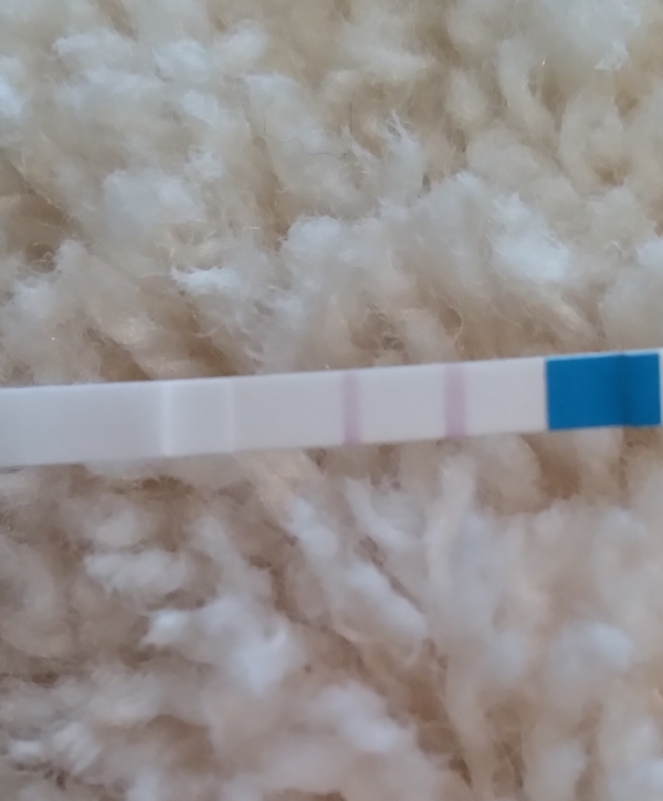 Generic Pregnancy Test, 15 Days Post Ovulation, FMU