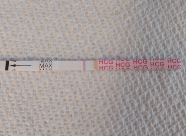 AccuMed Pregnancy Test, 9 Days Post Ovulation, FMU