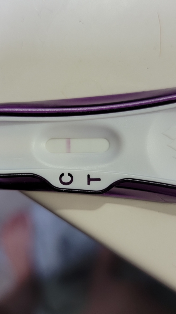 Home Pregnancy Test