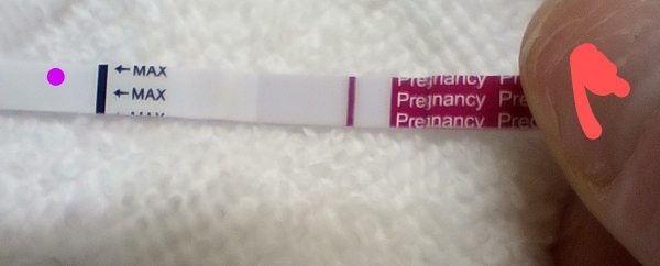 Generic Pregnancy Test, 15 Days Post Ovulation, Cycle Day 31