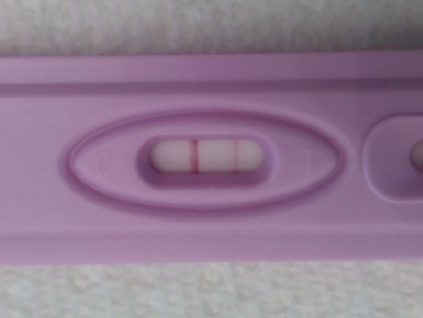 Home Pregnancy Test, 15 Days Post Ovulation, FMU