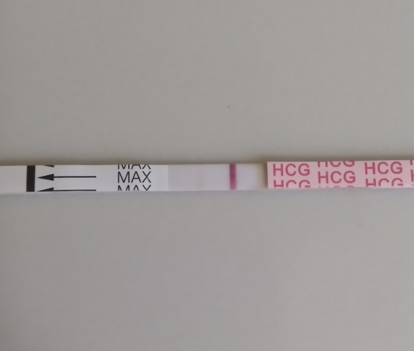 Generic Pregnancy Test, 16 Days Post Ovulation, FMU