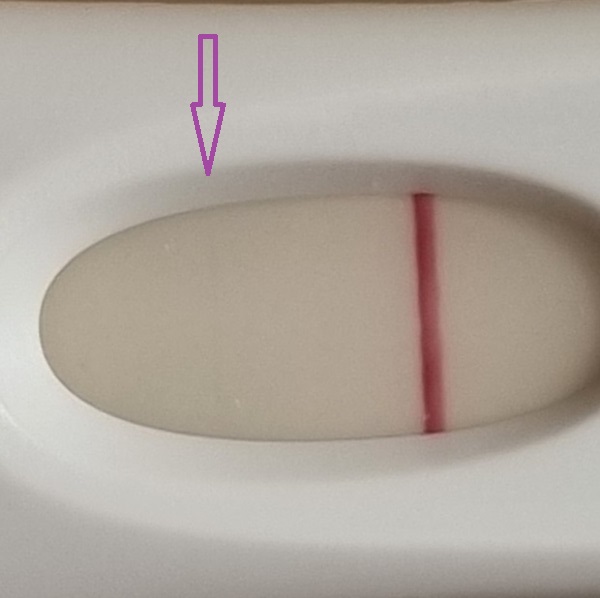 Home Pregnancy Test, 9 Days Post Ovulation, FMU, Cycle Day 24