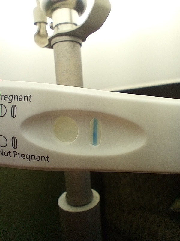 Equate One Step Pregnancy Test