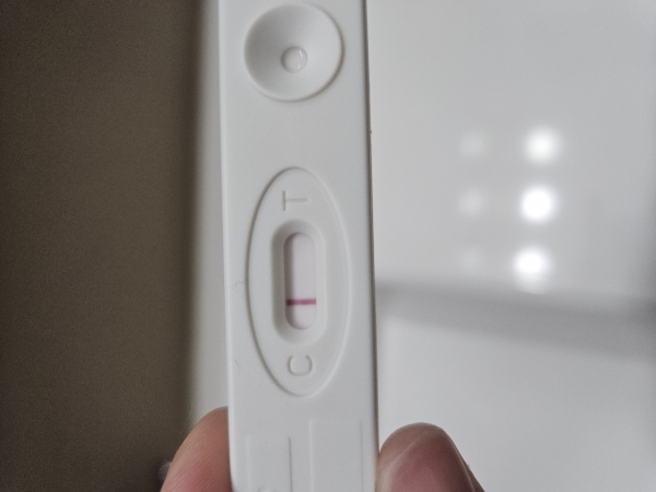 Generic Pregnancy Test, 17 Days Post Ovulation