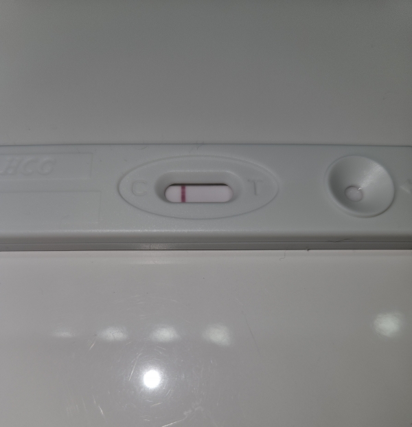 Generic Pregnancy Test, 17 Days Post Ovulation