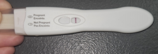 Equate Early Result Pregnancy Test, 17 Days Post Ovulation