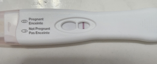 Equate Early Result Pregnancy Test, 17 Days Post Ovulation