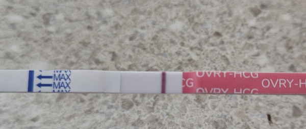 Generic Pregnancy Test, 18 Days Post Ovulation