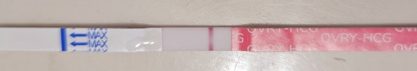 Generic Pregnancy Test, 18 Days Post Ovulation