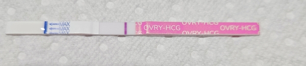 Generic Pregnancy Test, 18 Days Post Ovulation