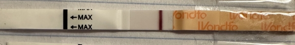 Wondfo Test Strips Pregnancy Test, 8 Days Post Ovulation