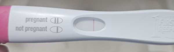 Home Pregnancy Test