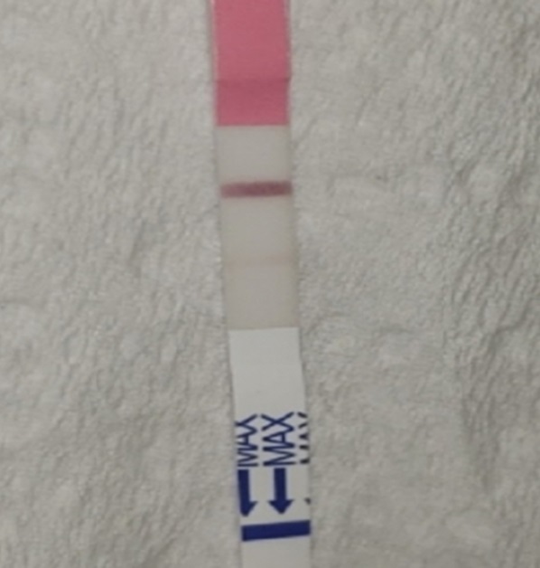 Generic Pregnancy Test, 14 Days Post Ovulation