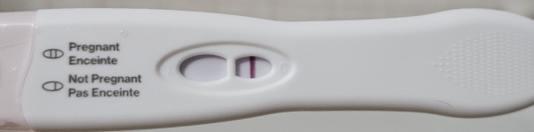 Home Pregnancy Test