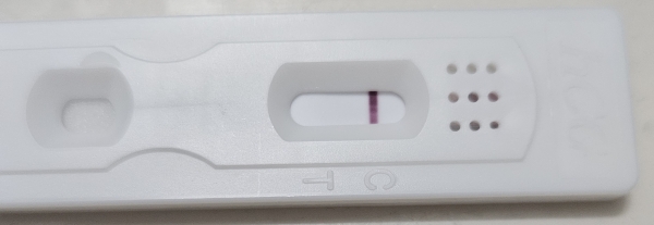 Home Pregnancy Test