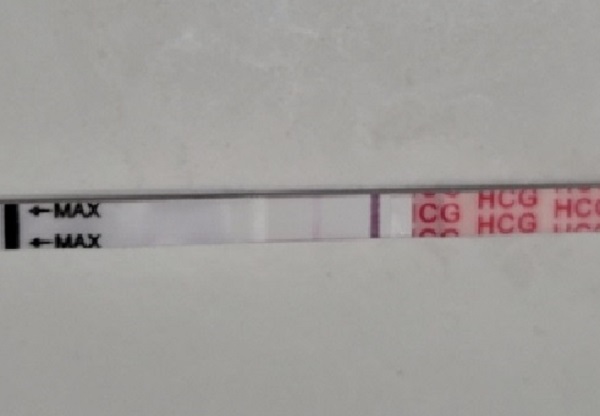 Home Pregnancy Test, 15 Days Post Ovulation, FMU, Cycle Day 27