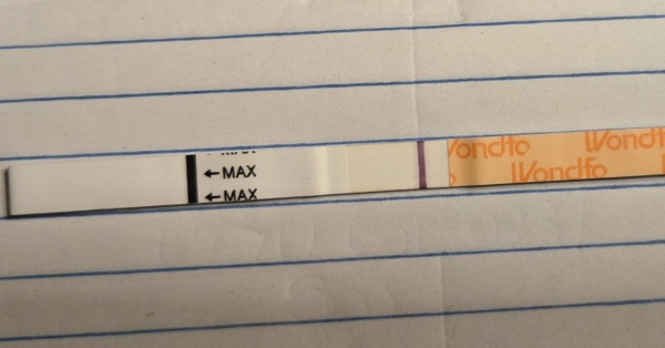 Wondfo Test Strips Pregnancy Test, 8 Days Post Ovulation, FMU, Cycle Day 25