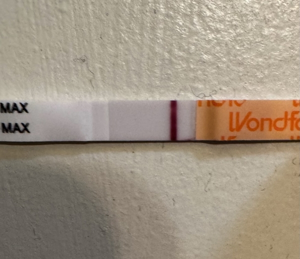 Home Pregnancy Test