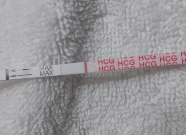 Home Pregnancy Test, 8 Days Post Ovulation, FMU