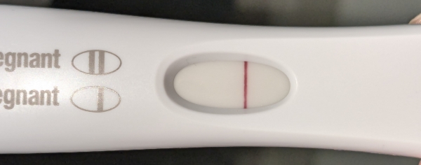 Home Pregnancy Test