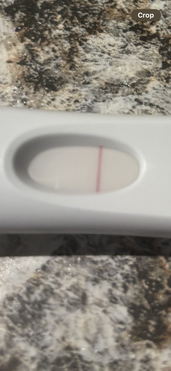 First Response Early Pregnancy Test, 7 Days Post Ovulation