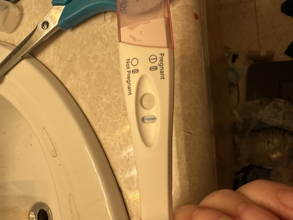 Home Pregnancy Test