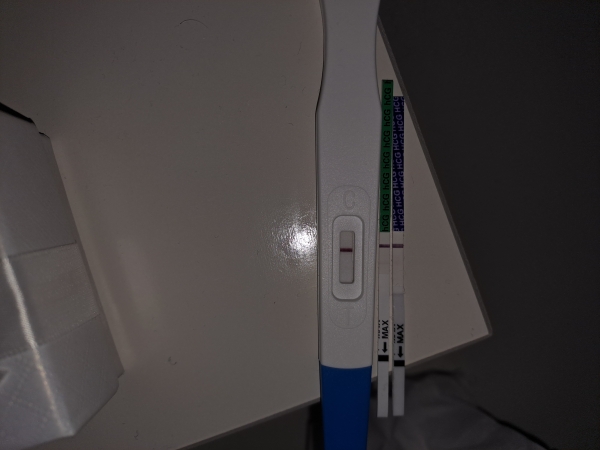 Home Pregnancy Test