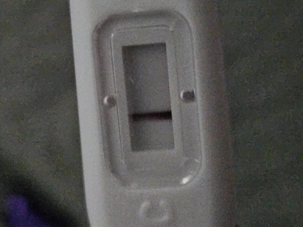 Home Pregnancy Test