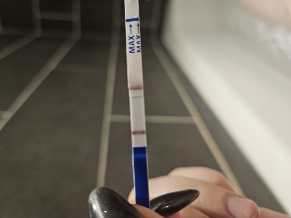 Home Pregnancy Test