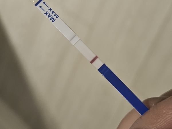 Home Pregnancy Test