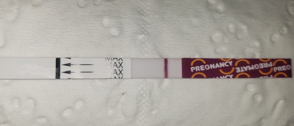 Home Pregnancy Test