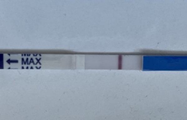 Generic Pregnancy Test, 8 Days Post Ovulation