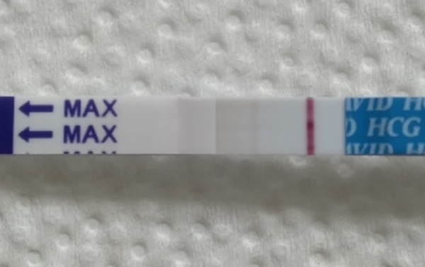 Generic Pregnancy Test, 15 Days Post Ovulation, FMU