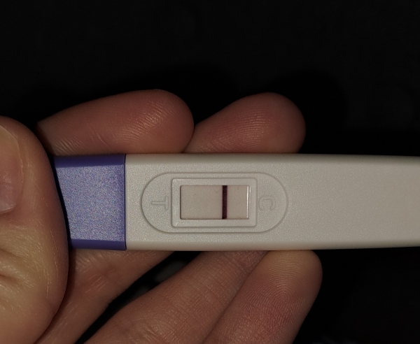 Home Pregnancy Test