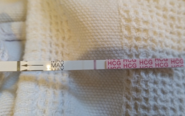 AccuMed Pregnancy Test, 10 Days Post Ovulation, FMU