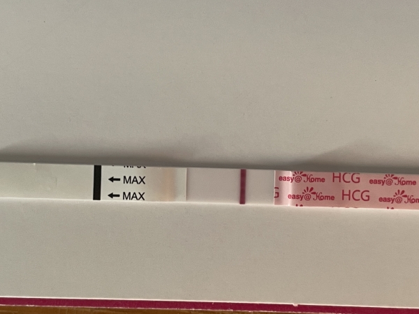 Home Pregnancy Test, 8 Days Post Ovulation